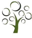 Dr. Basit Qayyum Logo